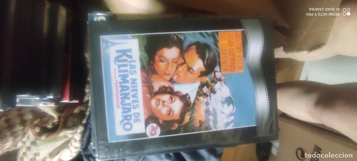 Cine: Las nieves del kilimanjaro. Pel&iacute;cula/ DVD.