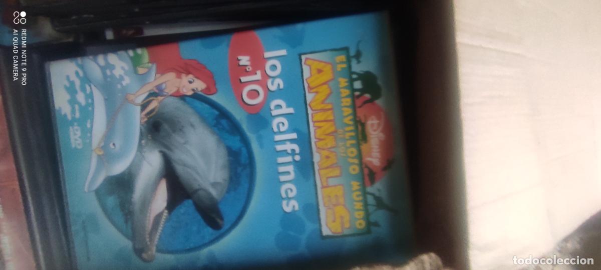 Cine: El maravilloso mundo de los animales. 10 Delfines. Pel&iacute;cula/ DVD.