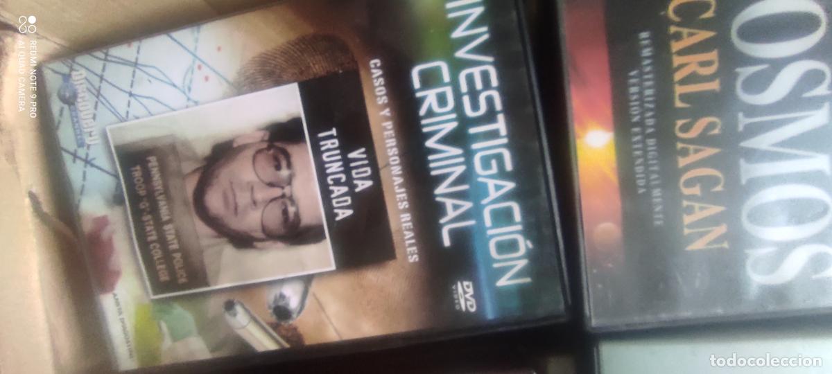 Cine: Investigaci&oacute;n criminal. Vida truncada. Pel&iacute;cula/ DVD.