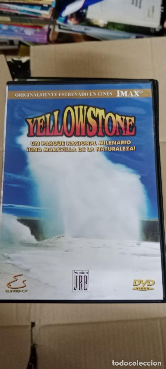 Cine: YELLOWSTONE IMAZ DVD CINE GG-BIZ