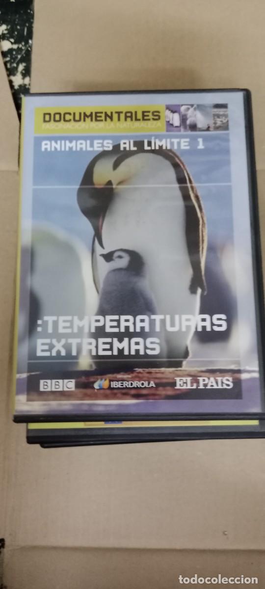 Cine: TEMPERATURAS EXTREMAS DVD CINE GG-BIZ