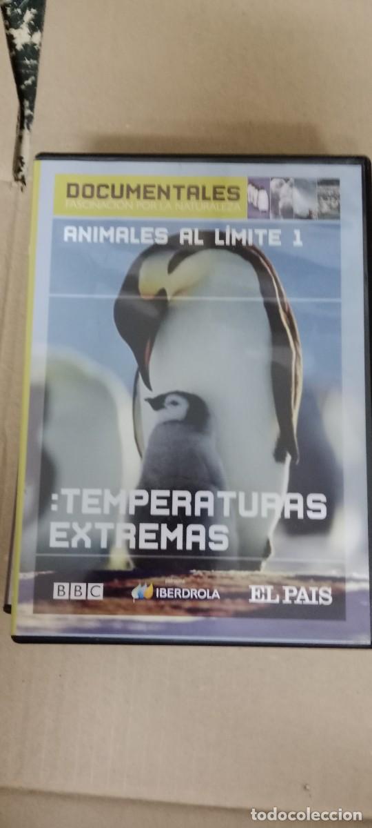 Kino: TEMPERATURAS EXTREMAS DVD CINE GG-BIZ