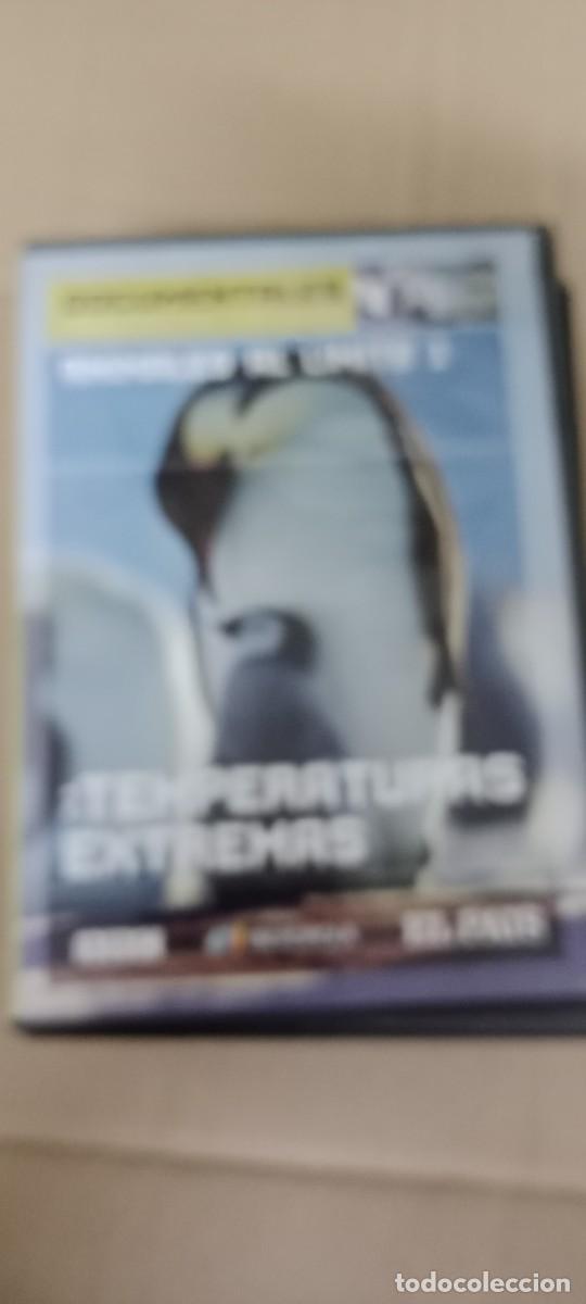 Kino: TEMPERATURAS EXTREMAS DVD CINE GG-BIZ