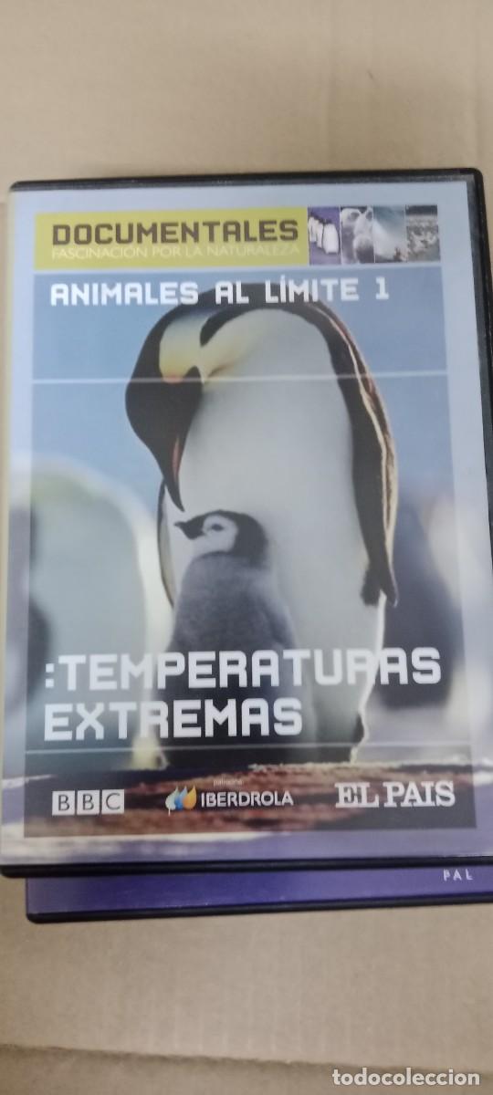 Kino: TEMPERATURAS EXTREMAS DVD CINE GG-BIZ