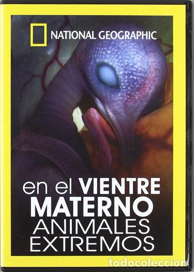 Cine: Vientre Materno: Animales Extremos- 8436022297579