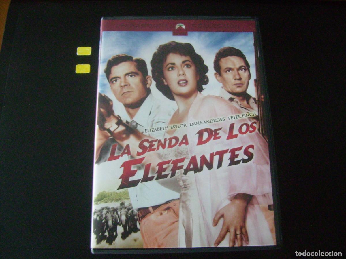 Cine: LA SENDA DE LOS ELEFANTES - ELIZABETH TAYLOR