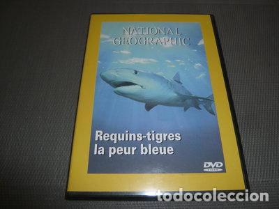 Kino: National Geographic: Requins-tigres, la peur bleue- 3339161296005