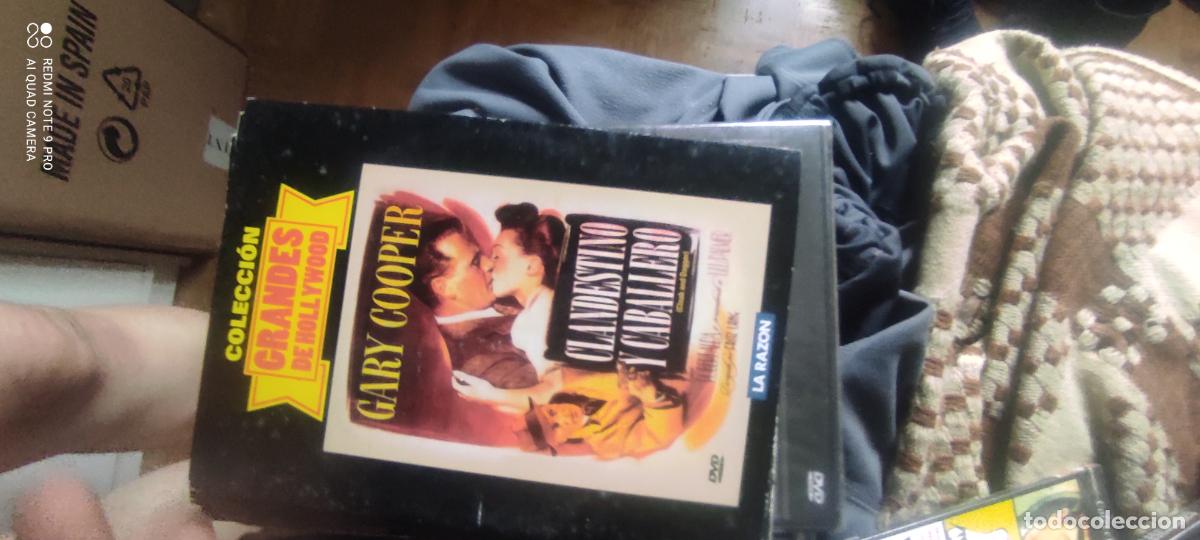 Cine: Clandestino y caballero. Pel&iacute;cula / DVD.
