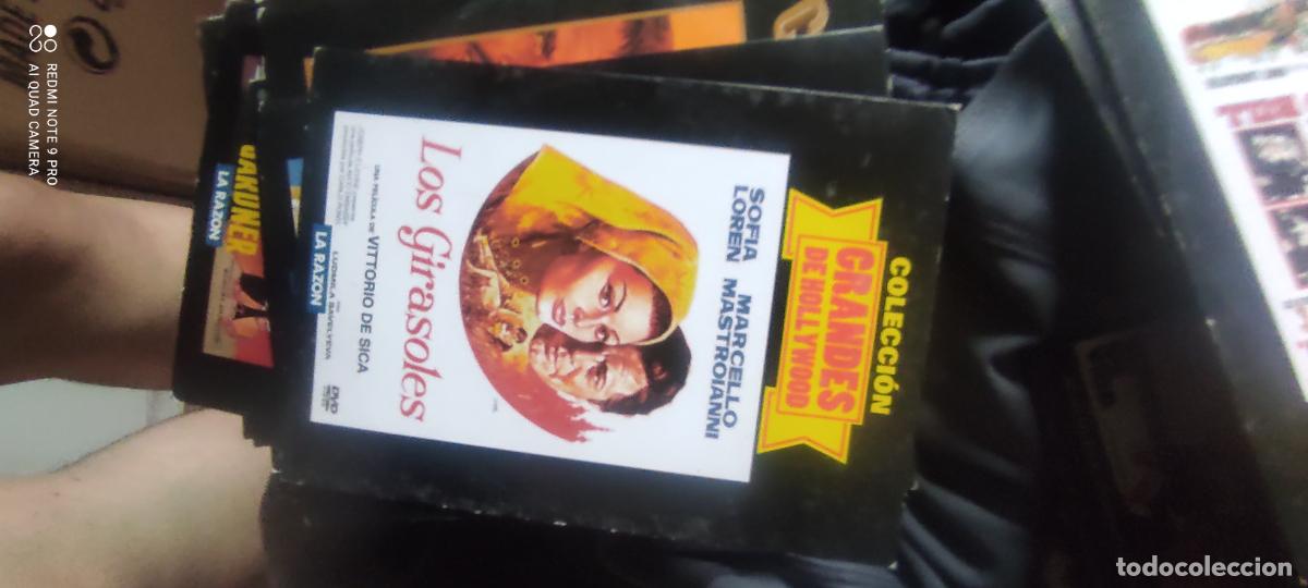 Cine: Los girasoles. Pel&iacute;cula / DVD.