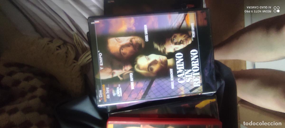 Kino: Camino sin retorno. Pel&iacute;cula / DVD.
