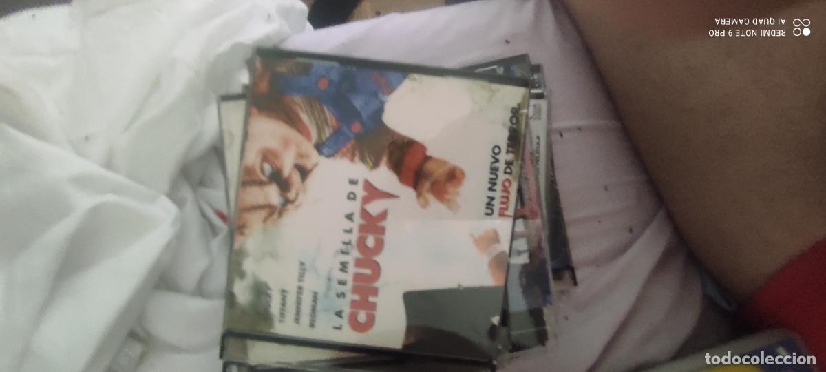 Cine: Chucky. Pel&iacute;cula / DVD.