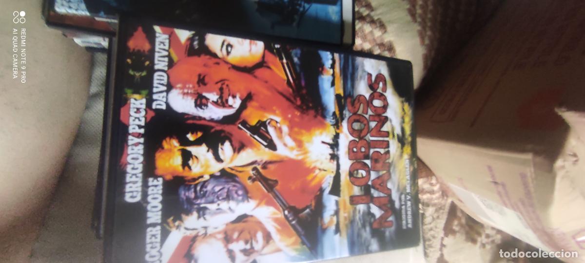 Cinema: Lobos marinos. Pel&iacute;cula / DVD.