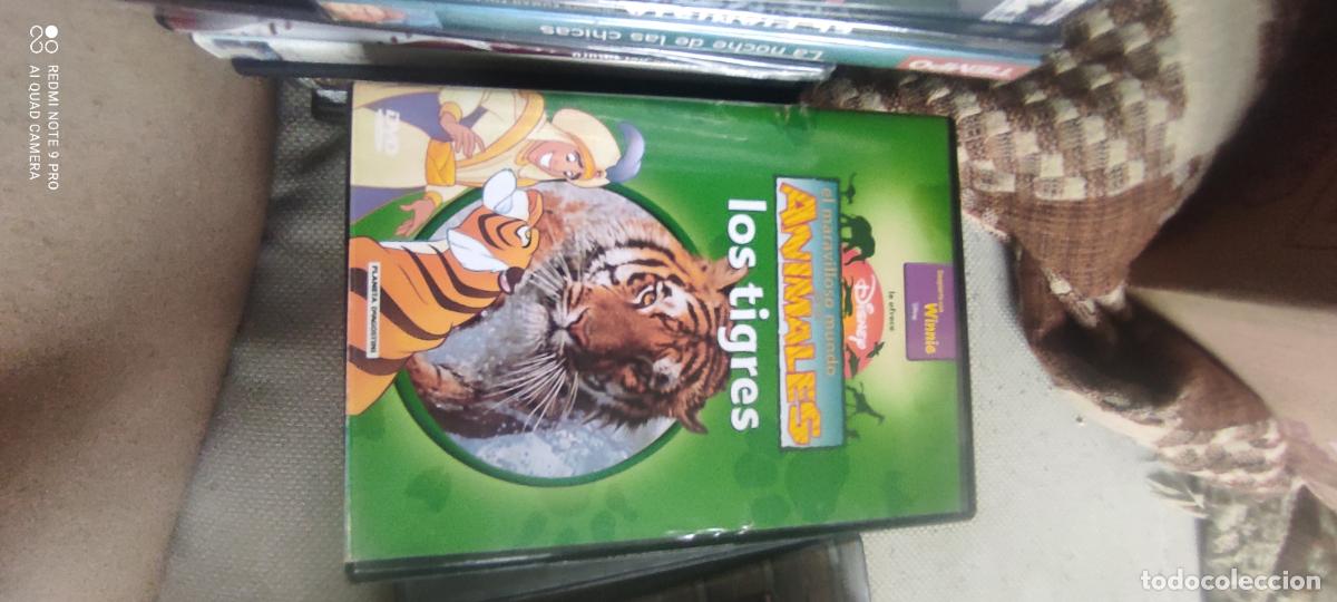 Cinema: Los tigres. Pel&iacute;cula / DVD.