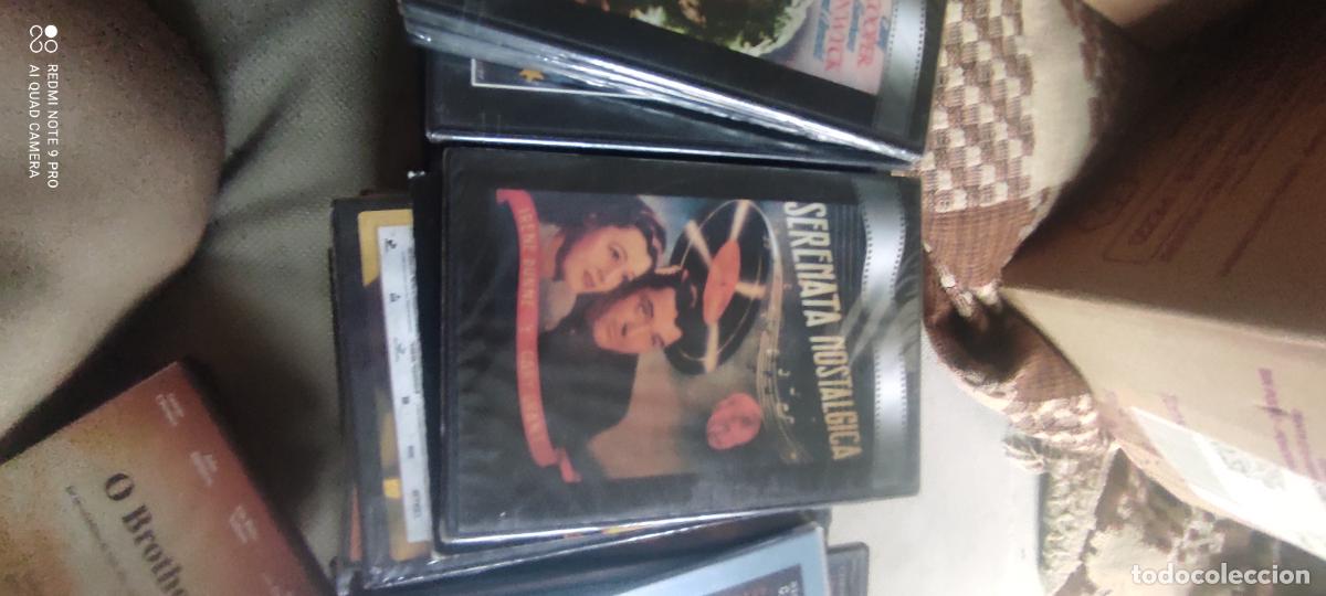 Cine: Serenata nost&aacute;lgica. Pel&iacute;cula / DVD.