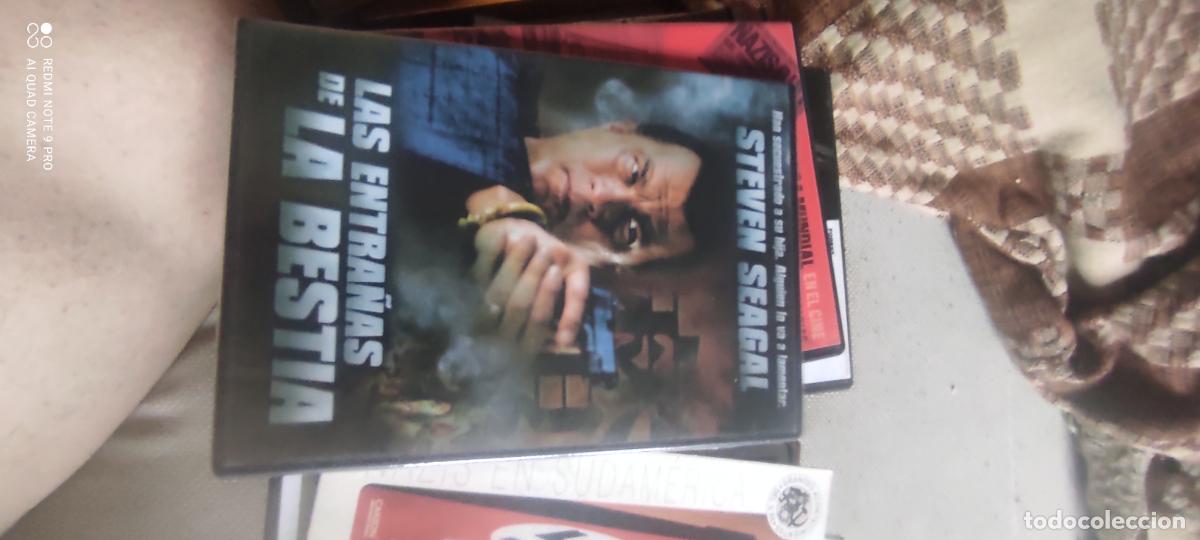 Cine: Las entra&ntilde;as de la bestia. Pel&iacute;cula / DVD.