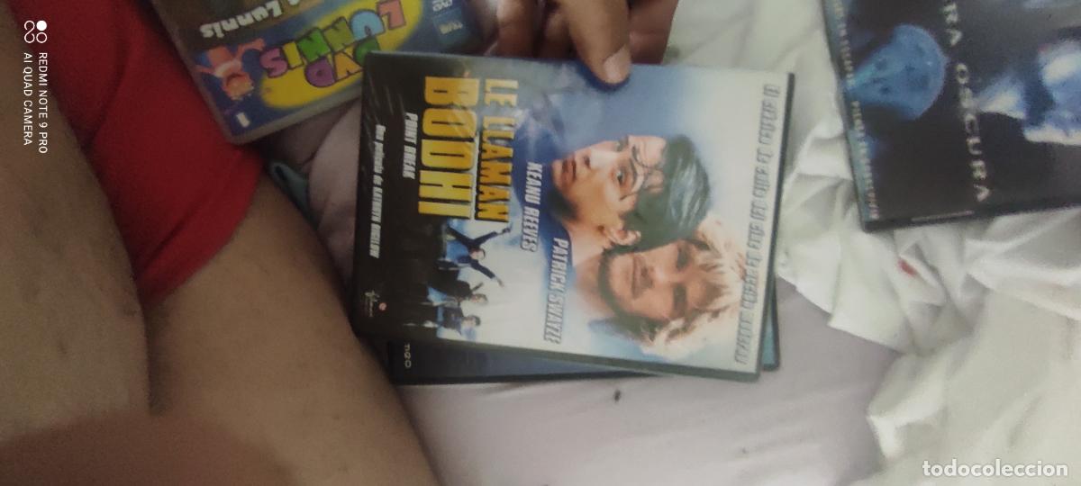 Cin&eacute;ma: Le llaman Bodhi. Pel&iacute;cula / DVD.