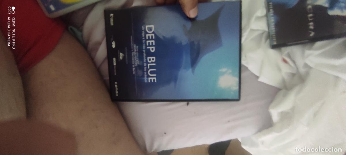 Cine: Deep Blue. Pel&iacute;cula / DVD.