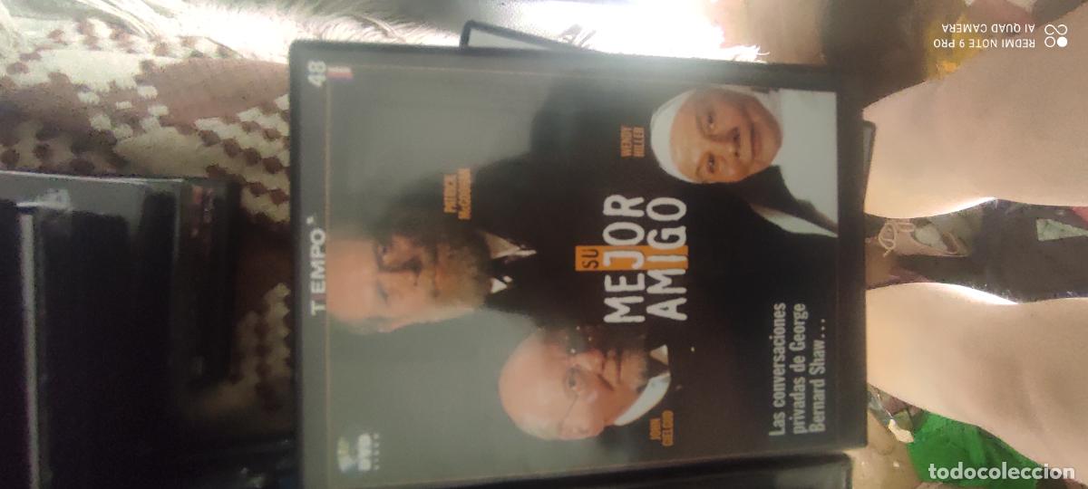 Cine: Mejor amigo. Pel&iacute;cula / DVD.