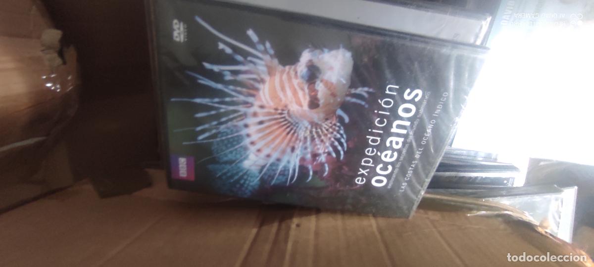 Cine: Expedici&oacute;n oce&aacute;nos. la costa del oce&aacute;no Indico. Pel&iacute;cula / DVD.
