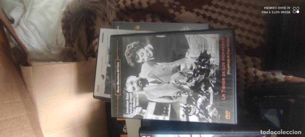 Cine: La tienda de los horrores. Pel&iacute;cula / DVD.