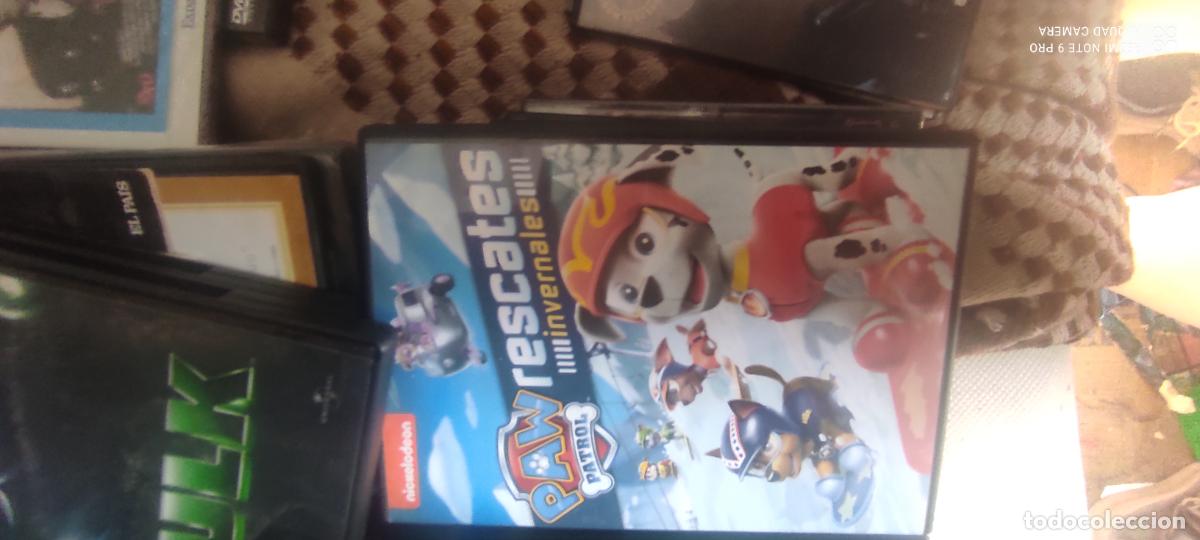 Kino: Paw Patrol Rescates invernales. Pel&iacute;cula / DVD.