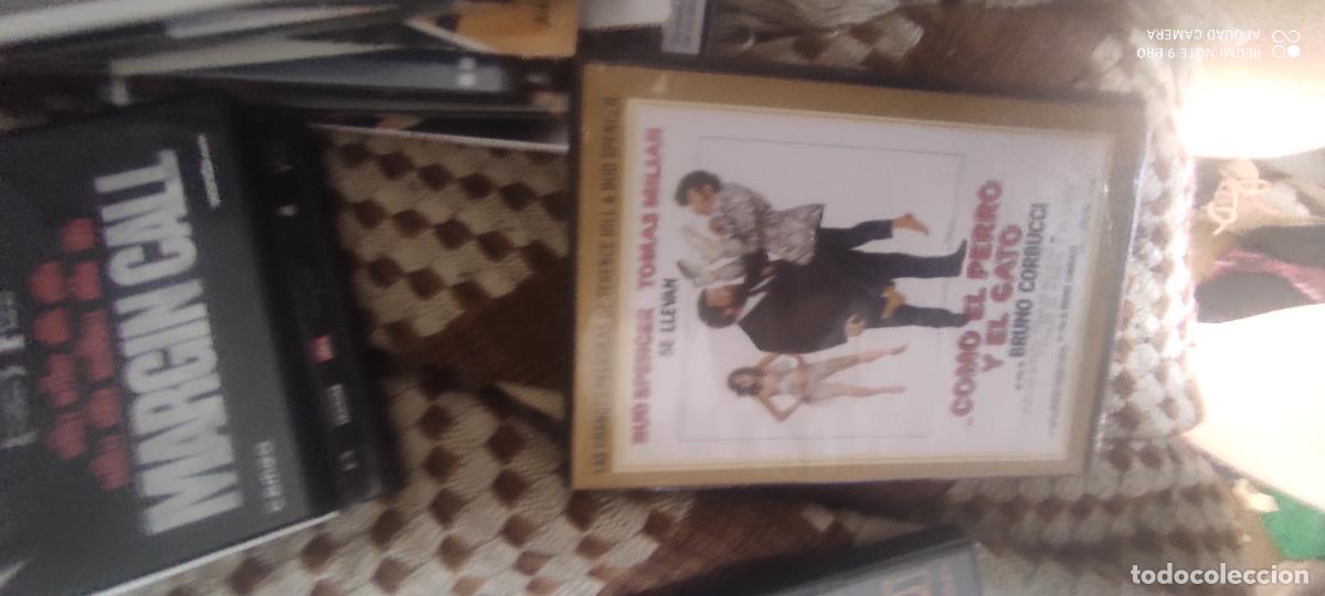 Kino: Como el perro y el gato. Pel&iacute;cula / DVD.