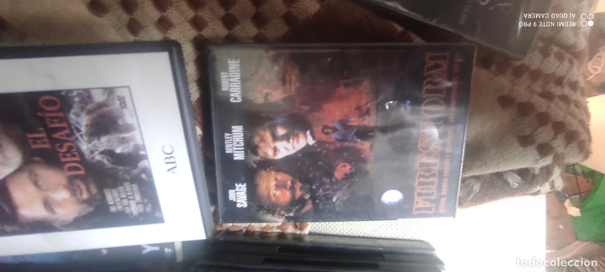 Kino: Firestorm. Pel&iacute;cula / DVD.