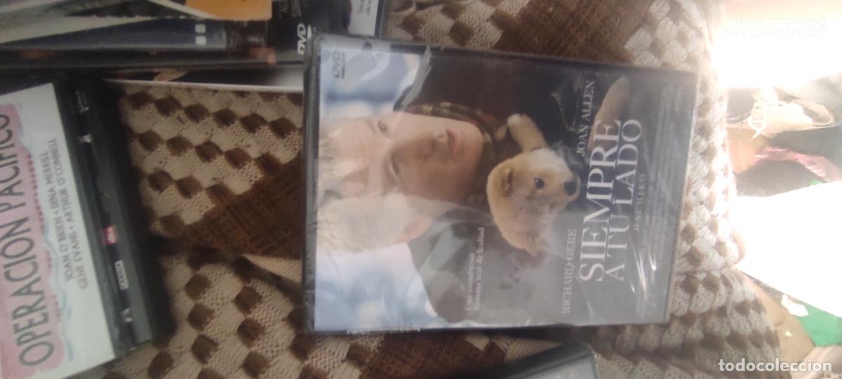 Kino: siempre a tu lado. Pel&iacute;cula / DVD.