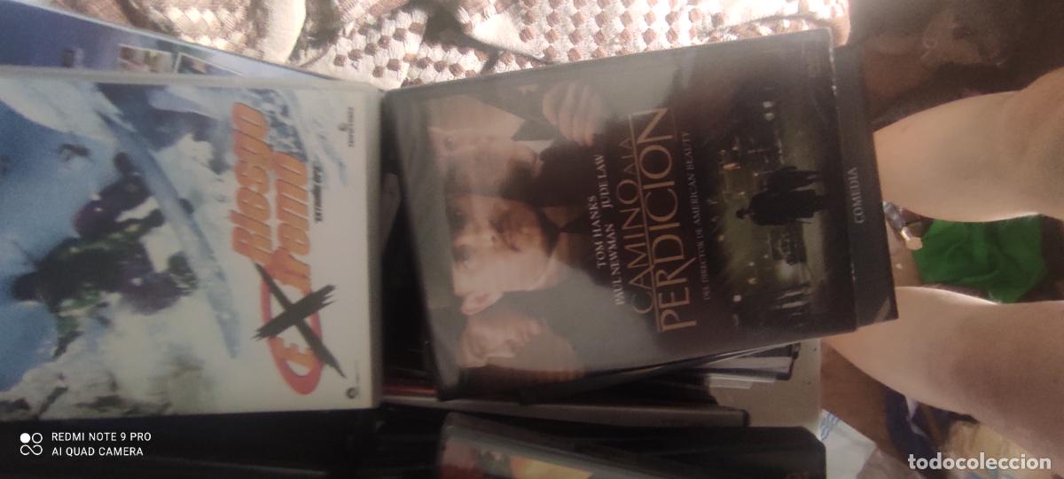 Cine: Camino de perdici&oacute;n. Pel&iacute;cula / DVD.
