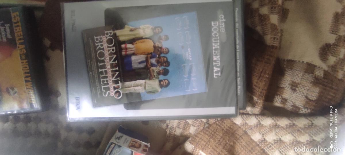 Cine: Born into broters. Pel&iacute;cula / DVD.