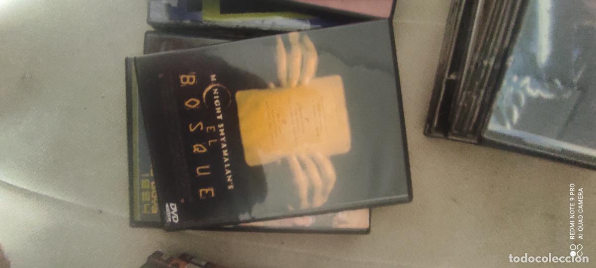 Cinema: El bosque. Pel&iacute;cula / DVD.