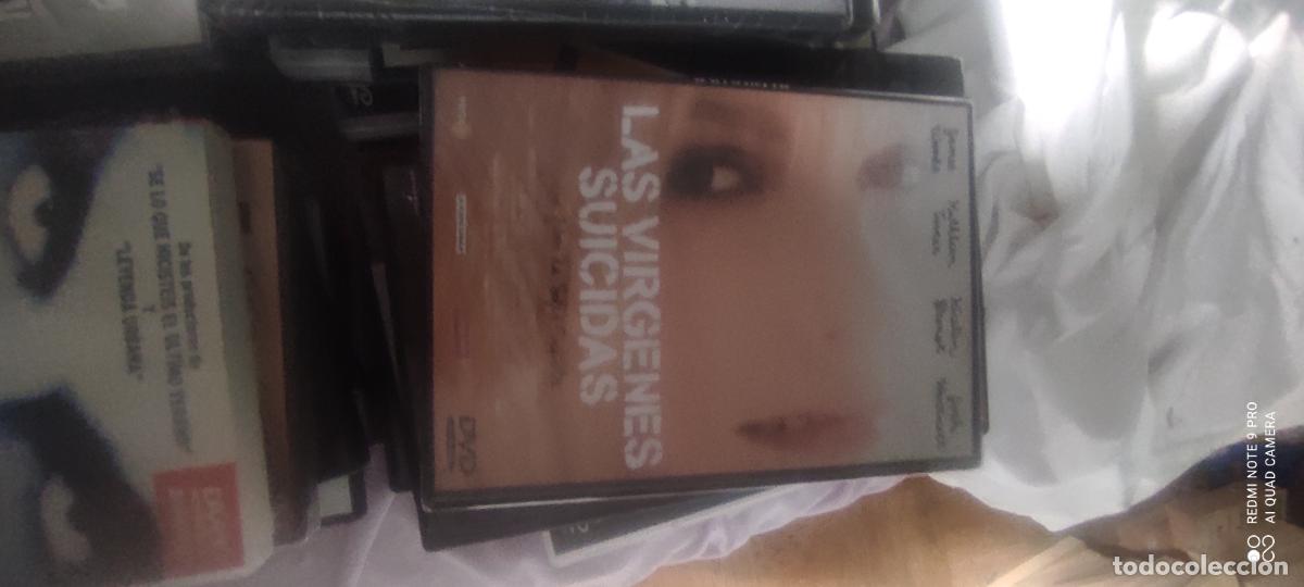 Cine: Las v&iacute;rgenes suicidas. Pel&iacute;cula / DVD.