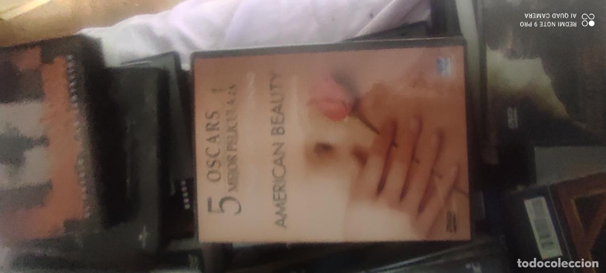 Cine: American Beauty. Pel&iacute;cula / DVD.