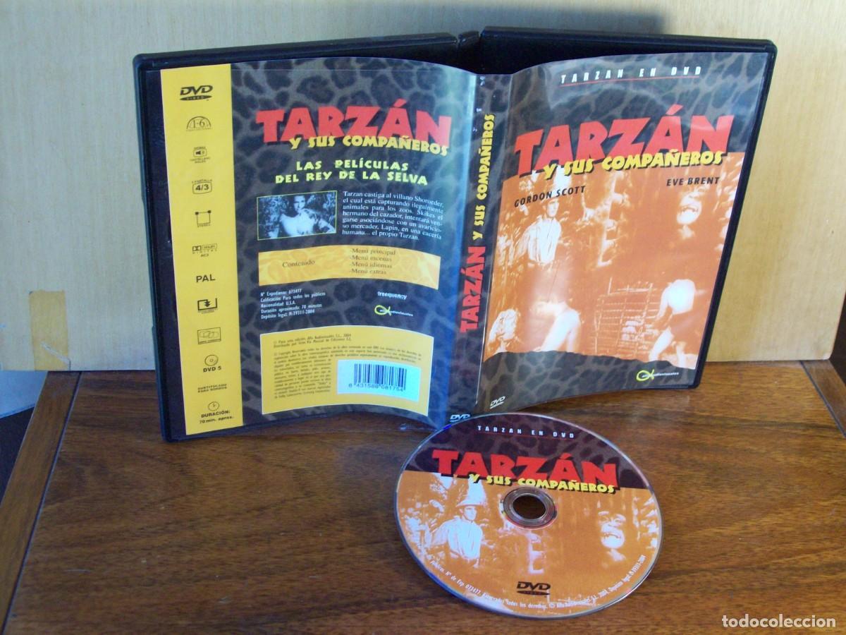 Cine: TARZAN Y SUS COMPA&Ntilde;EROS - GORDON SCOTT - EVE BRENT - DVD EN BLANCO Y NEGRO