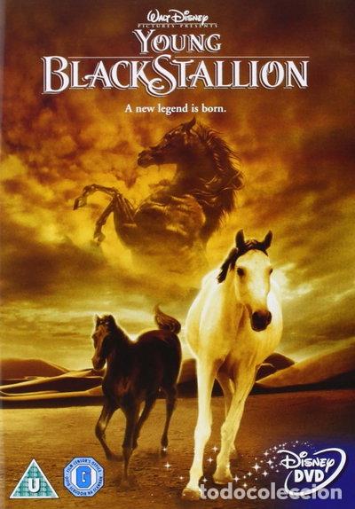 Cine: The Young Black Stallion- 5017188815925