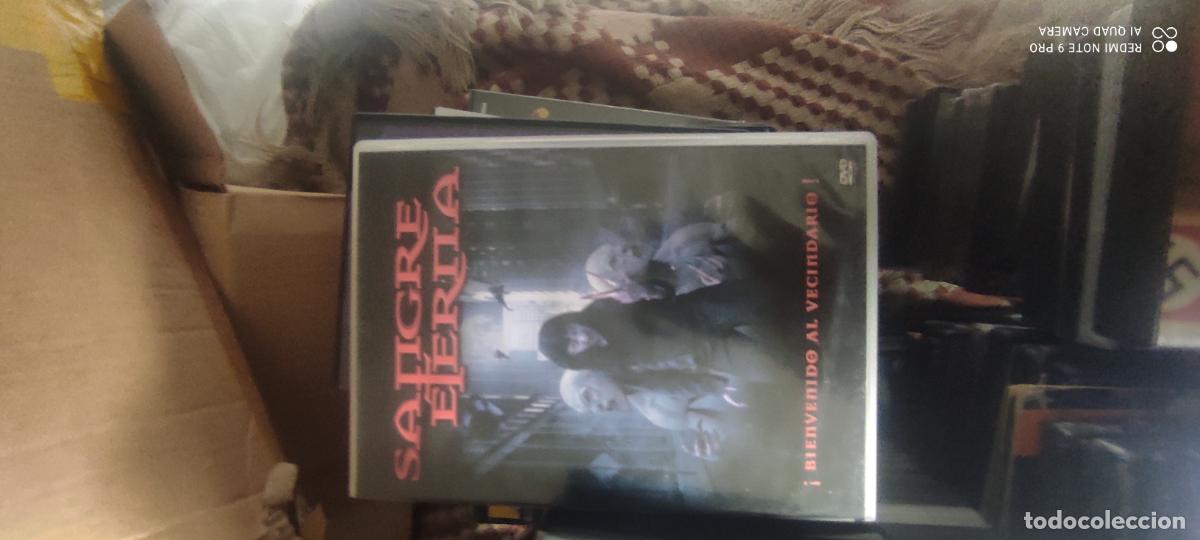 Cine: Sangre eterna. Pel&iacute;culas / DVD.