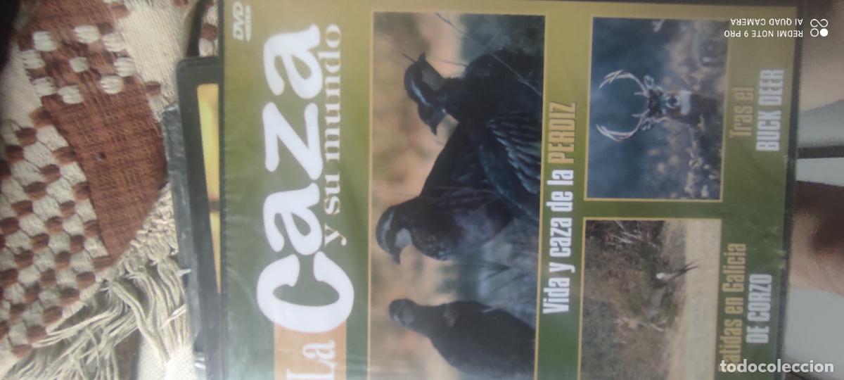 Cine: La caza y su mundo. Pel&iacute;culas / DVD.