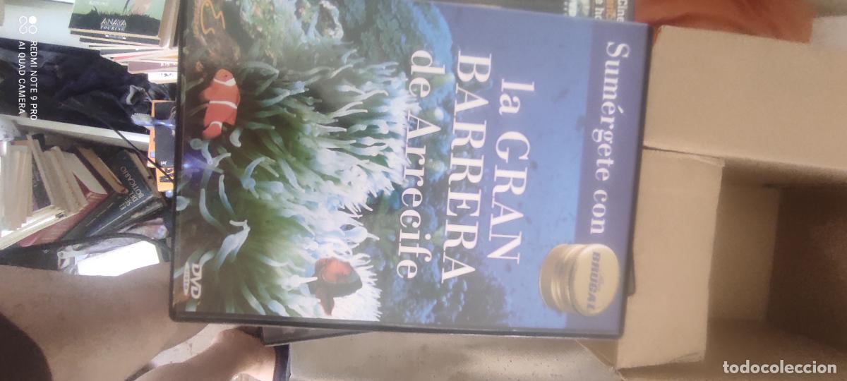 Cine: La gran barrera de arrecifes. Pel&iacute;culas / DVD.