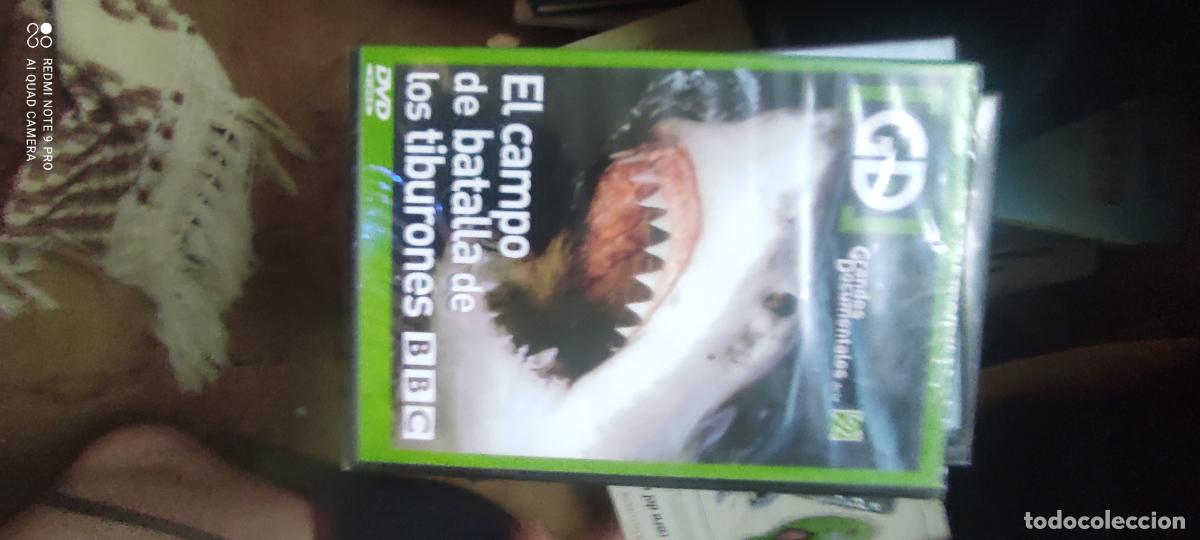 Cine: el campo de batalla: Los tiburones. Pel&iacute;culas / DVD.
