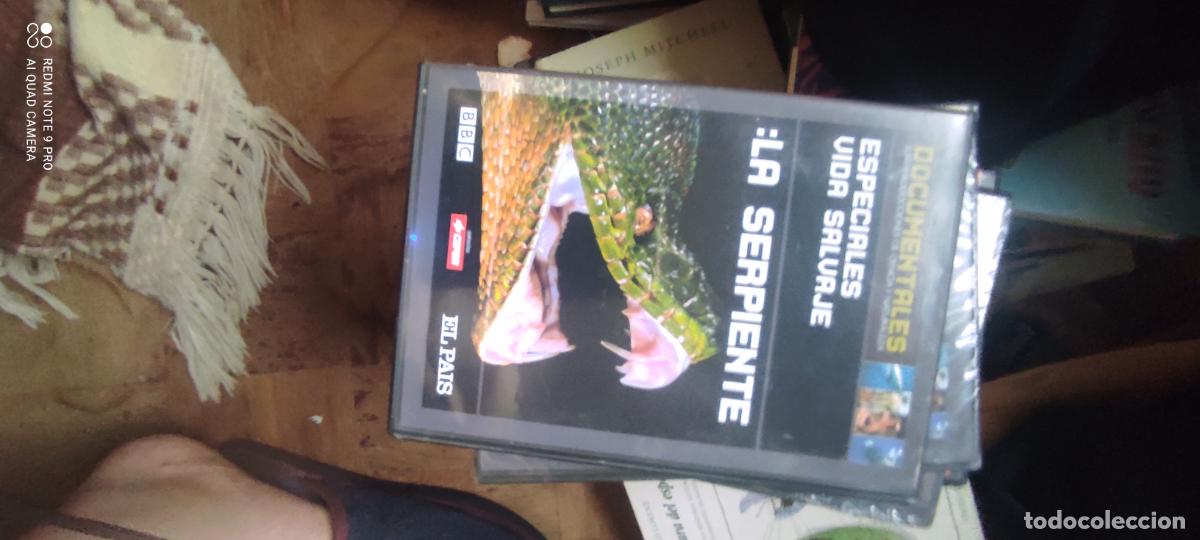 Cinema: Especiales Vida salvaje: la serpiente. Pel&iacute;culas / DVD.