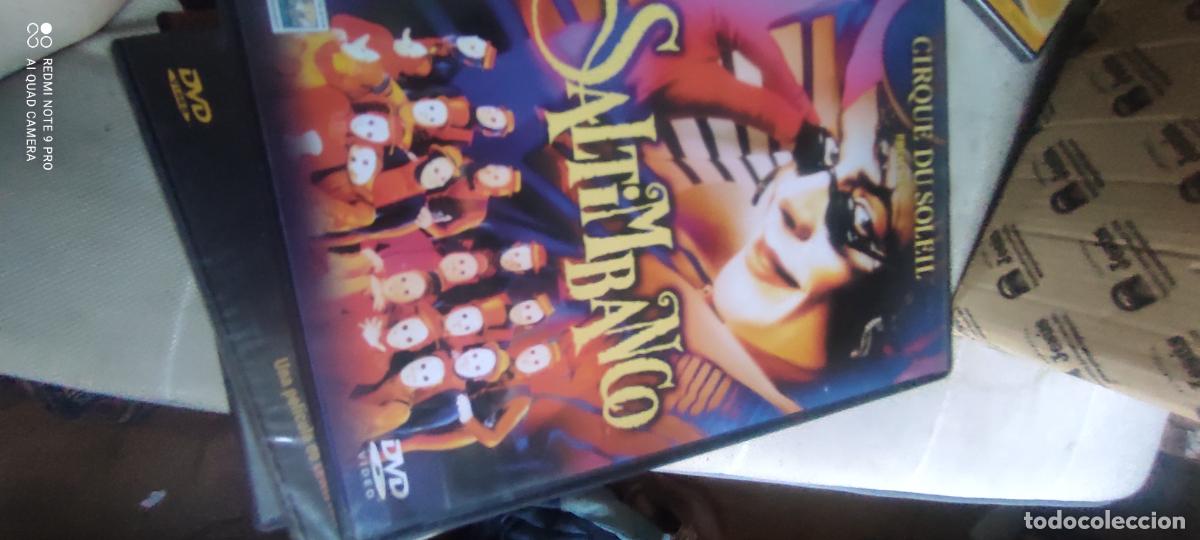 Cinema: DVD. Saltimbanco - Cirque du Soleil