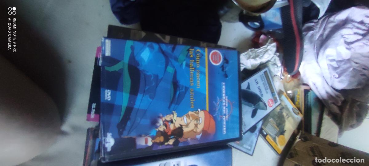 Cinema: Como nacen las ballenas azules . Pel&iacute;culas / DVD.