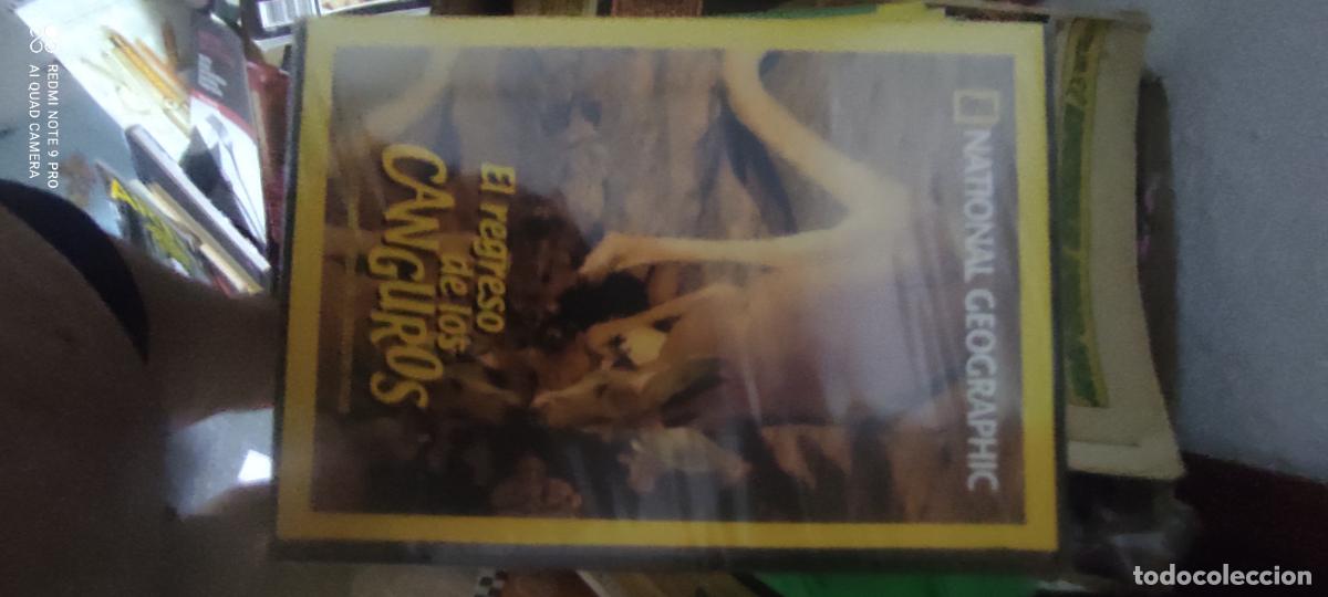 Cine: El regreso de los canguros. National Geographic. Pel&iacute;cula / DVD.