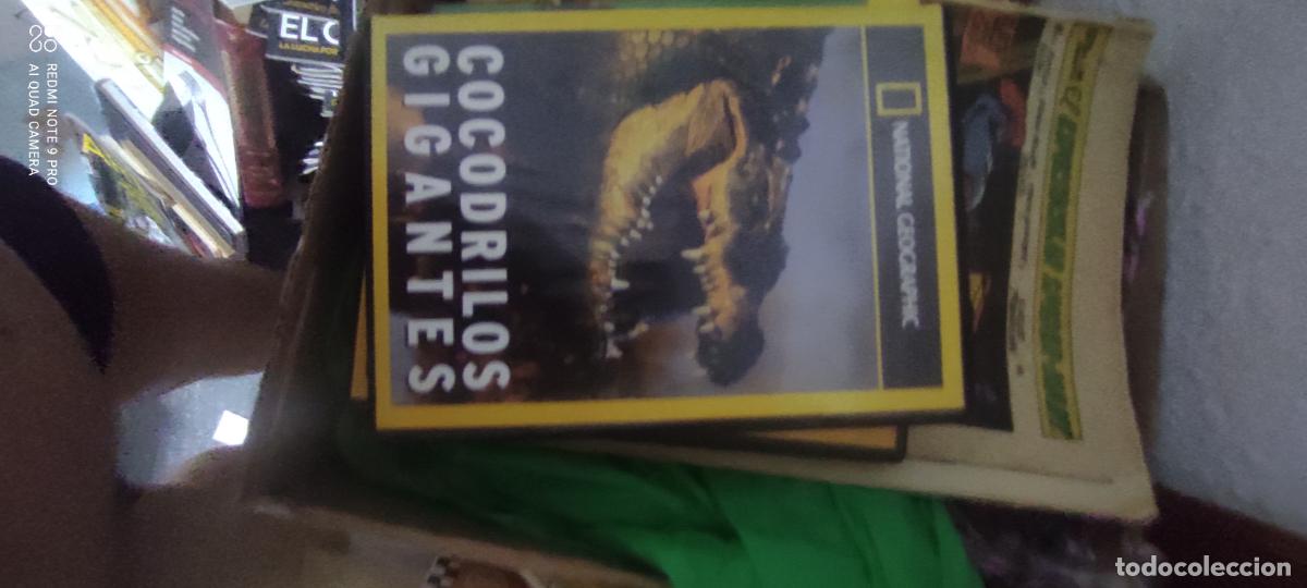Cine: Cocodrilos gigantes. National Geographic. Pel&iacute;cula / DVD.