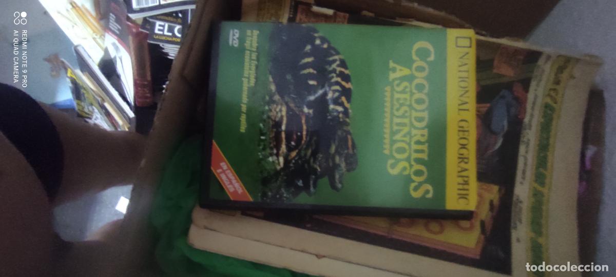 Cine: Cocodrilos asesinos. National Geographic. Pel&iacute;cula / DVD.