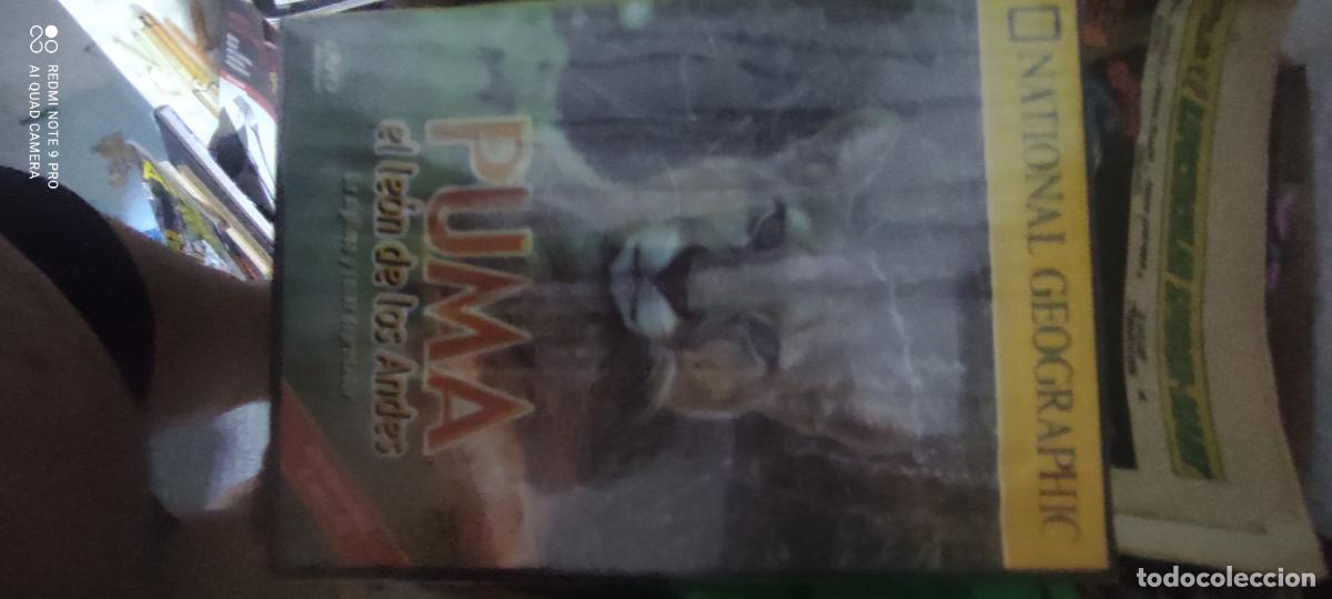 Cine: Puma, el Le&oacute;n de los Andes. National Geographic. Pel&iacute;cula / DVD.