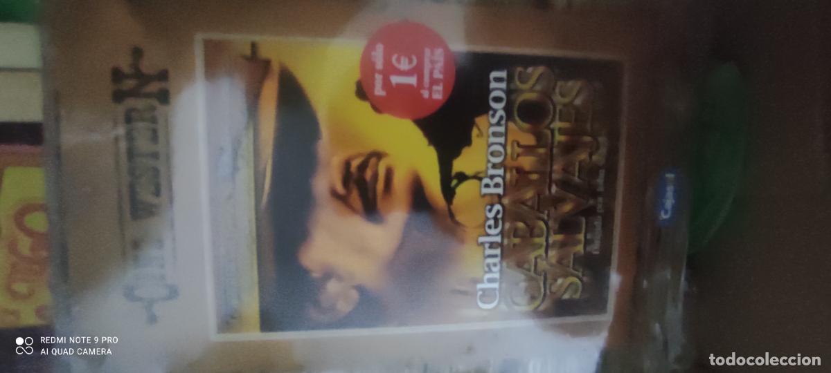 Cine: CAballos salvajes. Western. Pel&iacute;cula / DVD.