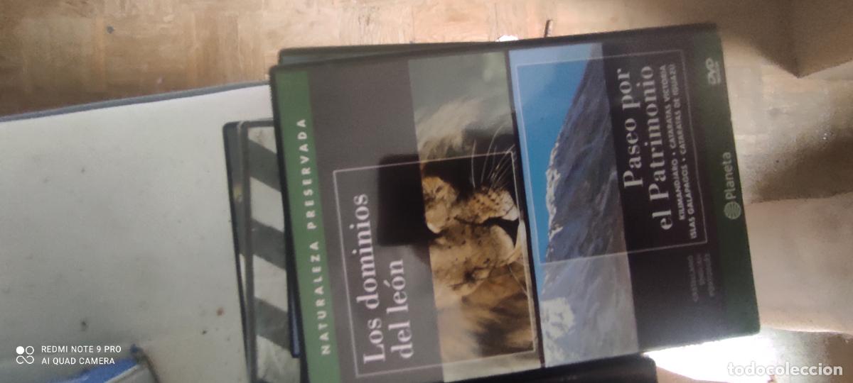 Cine: Paseo por el patrimonio. Los dominios del le&oacute;n. Pel&iacute;cula / DVD.