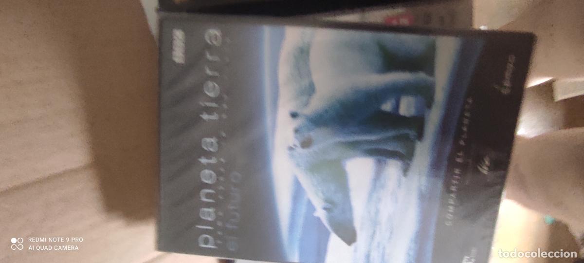 Cine: Planeta Tierra. Pel&iacute;cula / DVD.