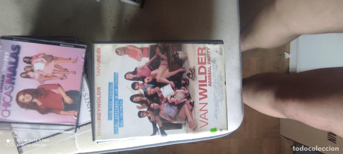 Cine: Animal Party. Pel&iacute;cula / DVD.